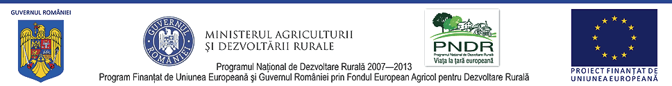 UE